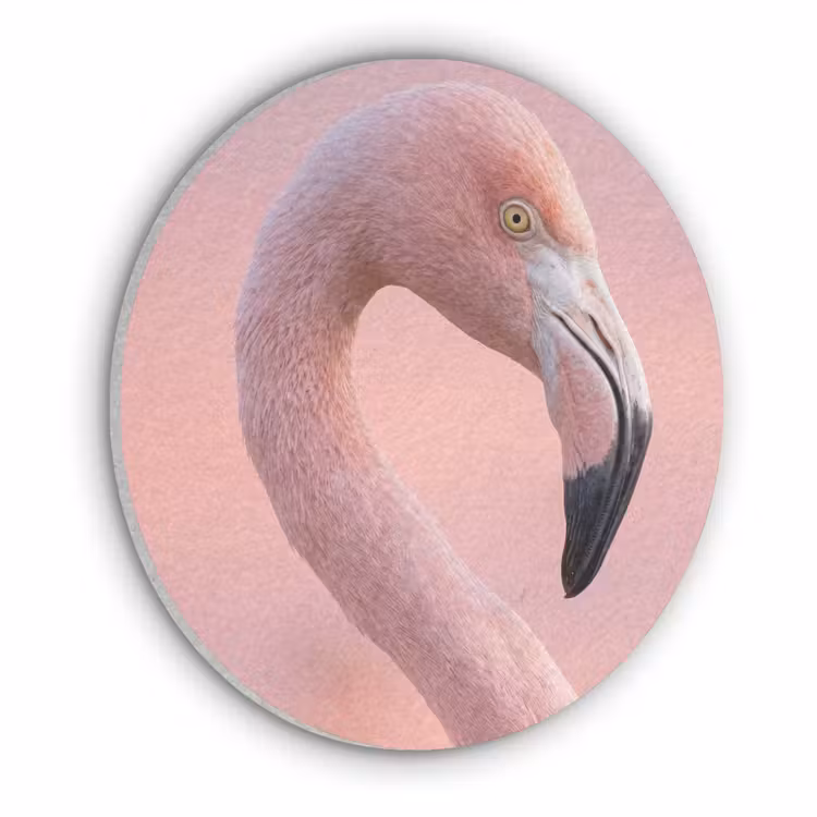 Flamingo - Portret - Roze Akoestische PET Vilt - Rond klein -3d