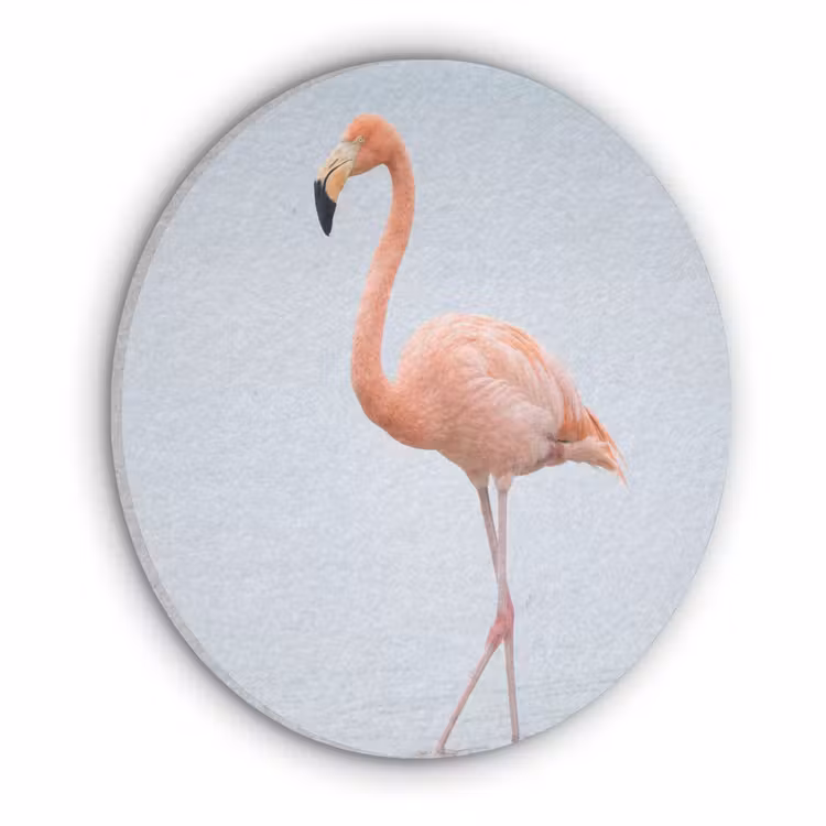 Flamingo - Zee - Roze Akoestische PET Vilt - Rond klein -3d