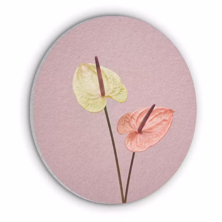 Bloemen - Anthuriums - Geel - Roze Akoestische PET Vilt - Rond klein -3d