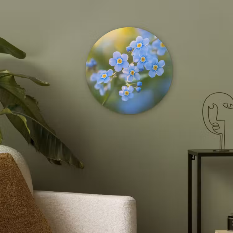 Bloemetjes - Blauw - Vergeet mij nietjes Akoestische PET Vilt - Rond klein -sfeer2
