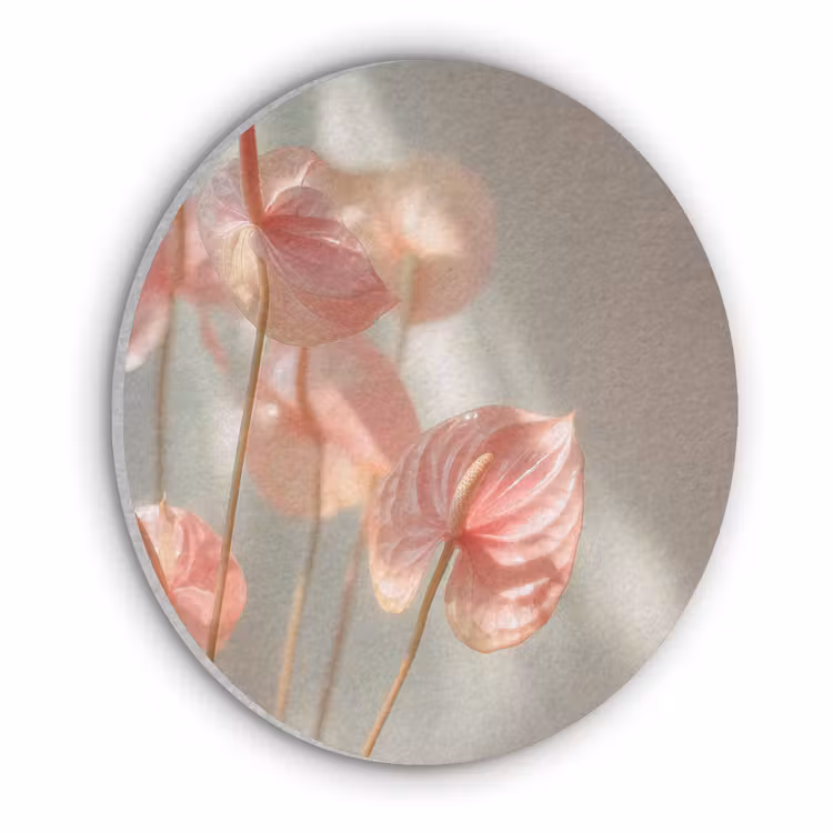 Bloemen - Stelen - Roze - Schaduw Akoestische PET Vilt - Rond klein -3d