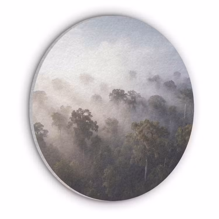 Bos - Mist - Natuur - Groen Akoestische PET Vilt - Rond klein -3d