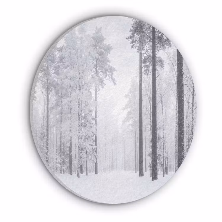 Bos - Sneeuw - Pad - Winter - Stilte Akoestische PET Vilt - Rond klein -3d