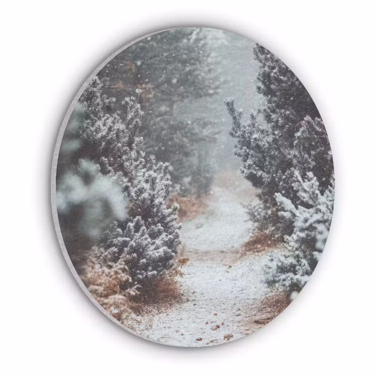 Bos - Winter - Bomen - Natuur - Pad - Sneeuw Akoestische PET Vilt - Rond klein -3d