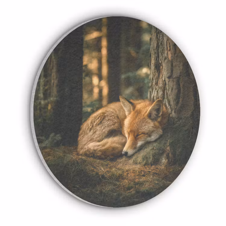 Vos - Bos - Slapen Akoestische PET Vilt - Rond klein -3d
