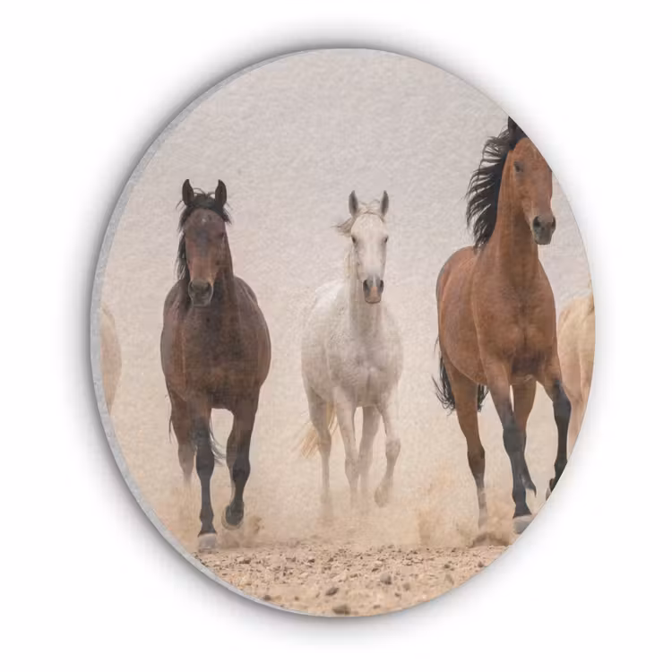 Kudde paarden - Stofwolk - Bruin - Zwart Akoestische PET Vilt - Rond klein -3d