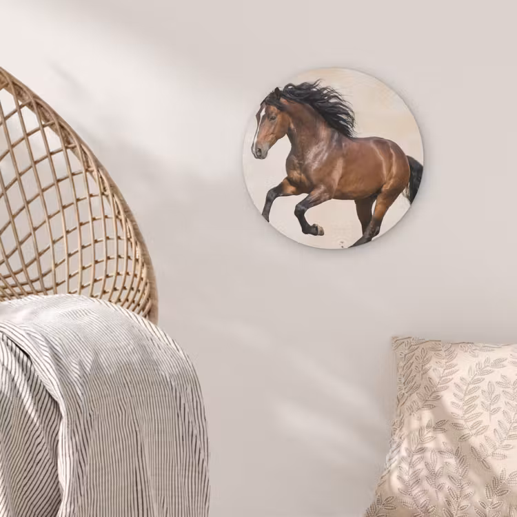 Paard - Galop - Energie Akoestische PET Vilt - Rond klein -sfeer4