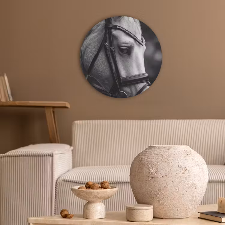 Paard - Schimmel - Portret Akoestische PET Vilt - Rond klein -sfeer1