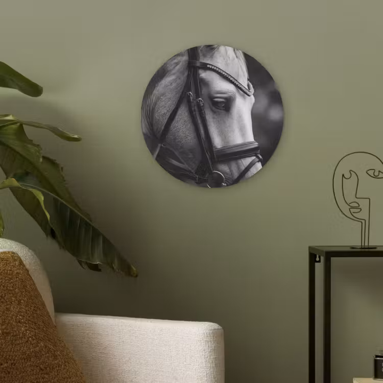 Paard - Schimmel - Portret Akoestische PET Vilt - Rond klein -sfeer2