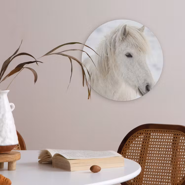 Paard - Kop - Winter - Dieren - Wit Akoestische PET Vilt - Rond klein -sfeer3