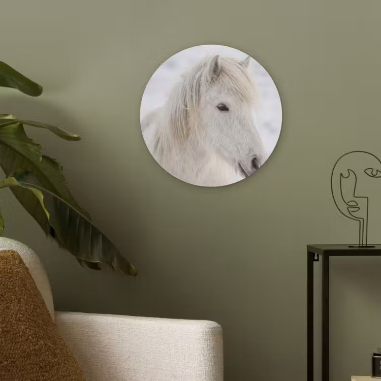 Paard - Kop - Winter - Dieren - Wit Akoestische PET Vilt - Rond klein -sfeer2