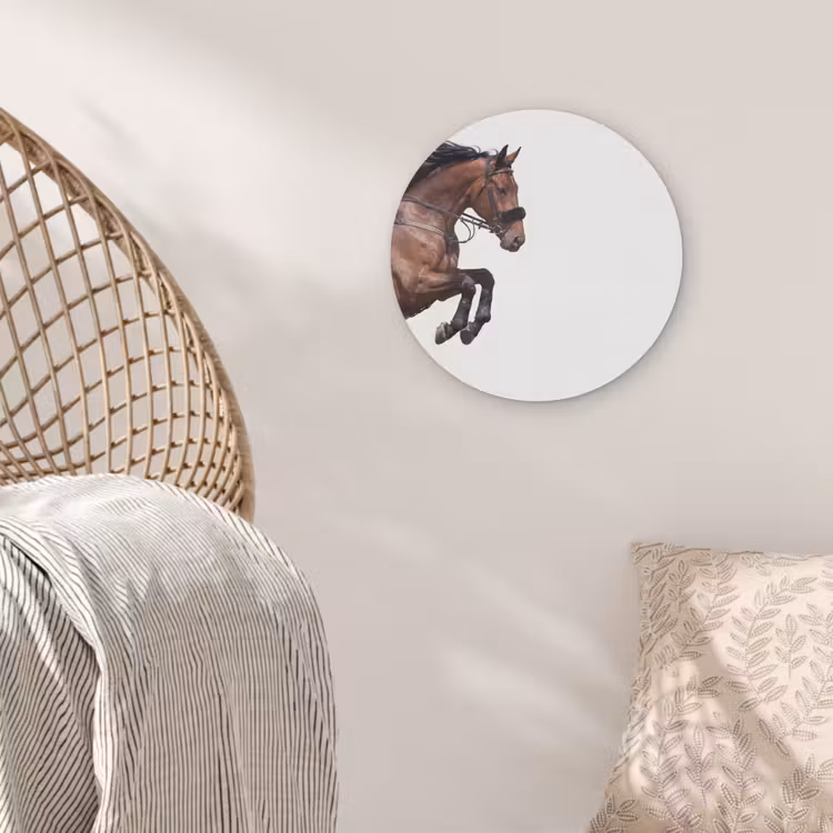 Paard - Springen - Modern Akoestische PET Vilt - Rond klein -sfeer4