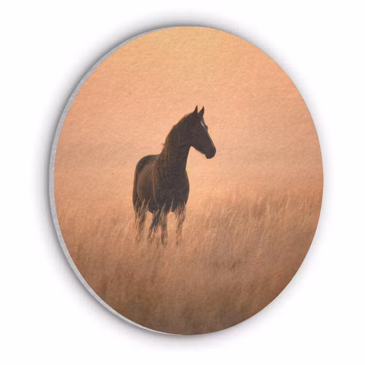 Paard - Grasveld - Zonsondergang Akoestische PET Vilt - Rond klein -3d
