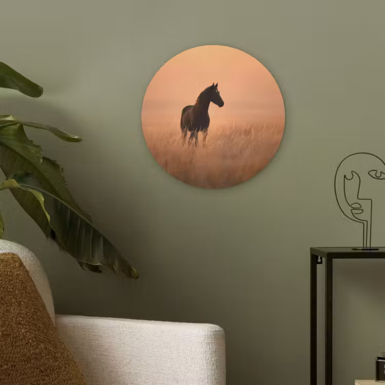 Paard - Grasveld - Zonsondergang Akoestische PET Vilt - Rond klein -sfeer2