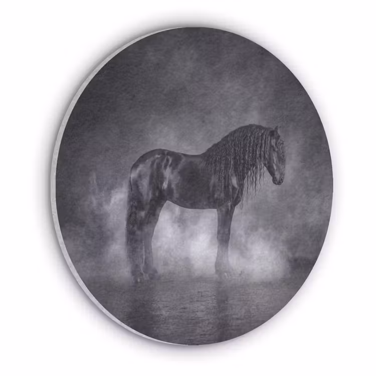 Paard - Magisch - Zwart Akoestische PET Vilt - Rond klein -3d