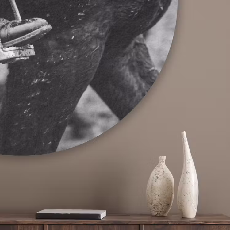 Paard - Sport - Zwart - Wit Akoestische PET Vilt - Rond klein -sfeer5_closeup