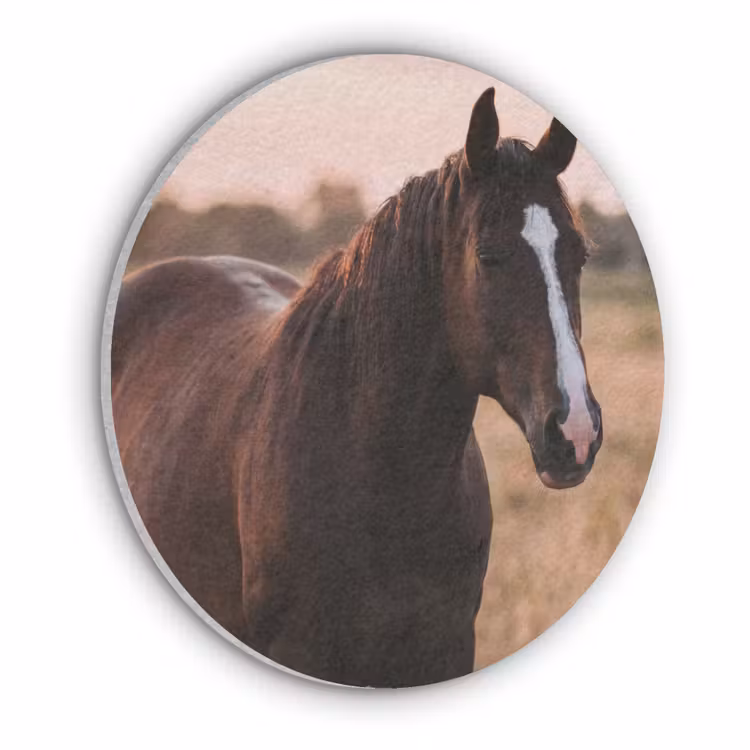 Paard - Zonsondergang - Bruin Akoestische PET Vilt - Rond klein -3d