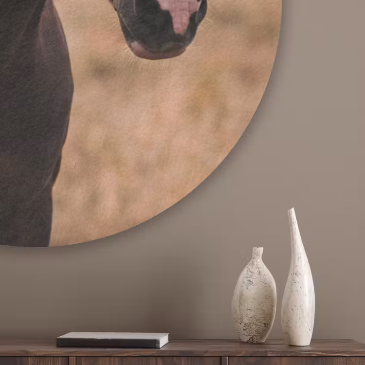 Paard - Zonsondergang - Bruin Akoestische PET Vilt - Rond klein -sfeer5_closeup