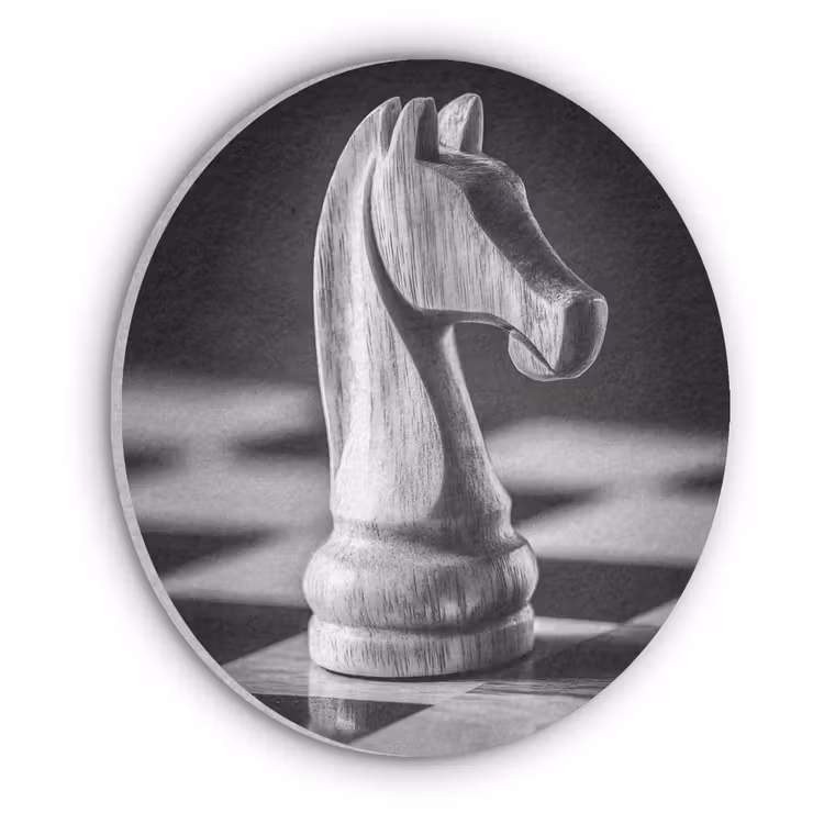 Paard - Hout - Schaalbord - Zwart Akoestische PET Vilt - Rond klein -3d
