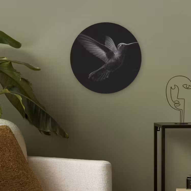 Kolibrie - Zwart - Dieren Akoestische PET Vilt - Rond klein -sfeer2