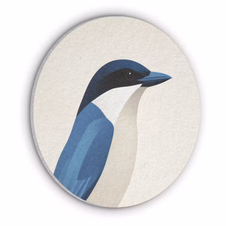 Illustratie - Blauw - Vogel Akoestische PET Vilt - Rond klein -3d