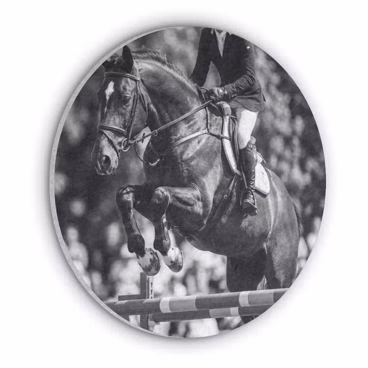 Springen - Paard - Zwart - Wit Akoestische PET Vilt - Rond klein -3d