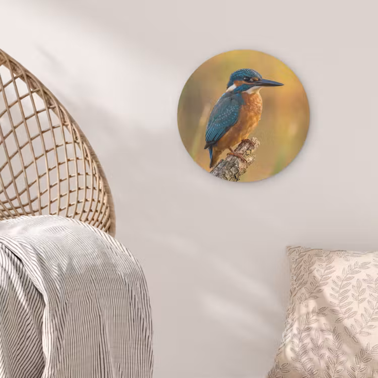 IJsvogel - Tak - Water - Kleurrijk - Levendig Akoestische PET Vilt - Rond klein -sfeer4