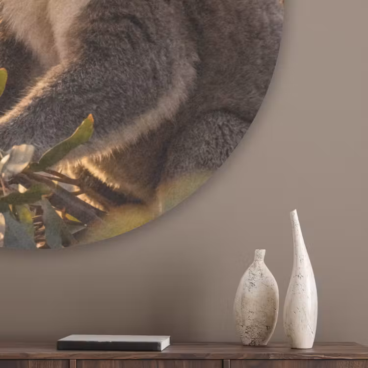 Koala - Bladeren - Ochtendlicht Akoestische PET Vilt - Rond klein -sfeer5_closeup