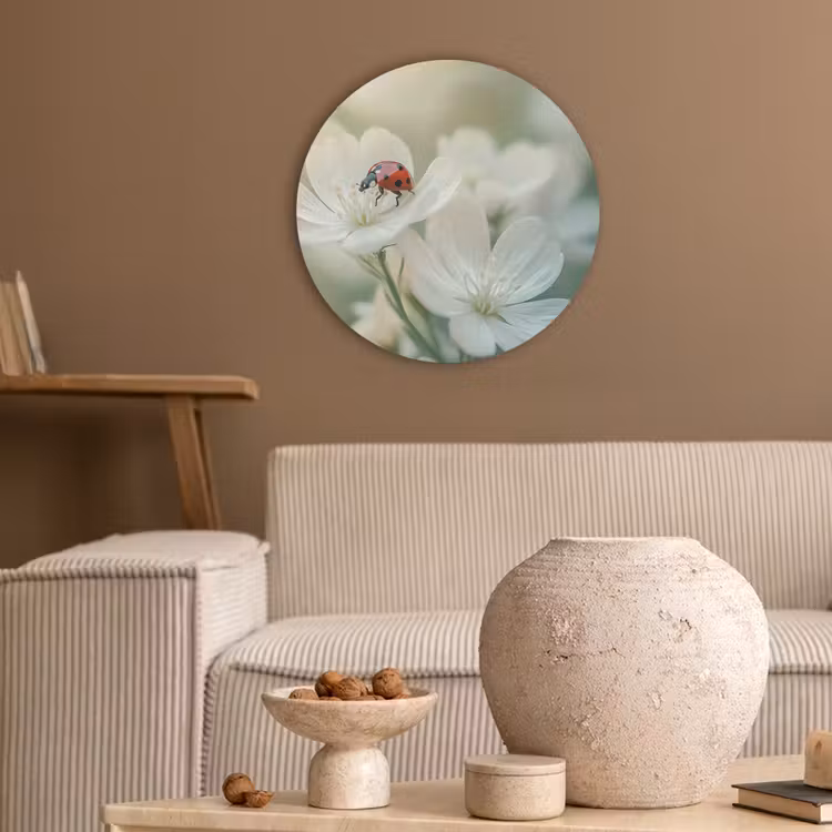 Lieveheersbeestje - Bloemen - Wit Akoestische PET Vilt - Rond klein -sfeer1