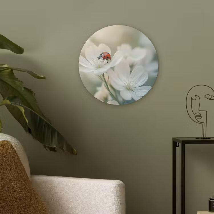 Lieveheersbeestje - Bloemen - Wit Akoestische PET Vilt - Rond klein -sfeer2