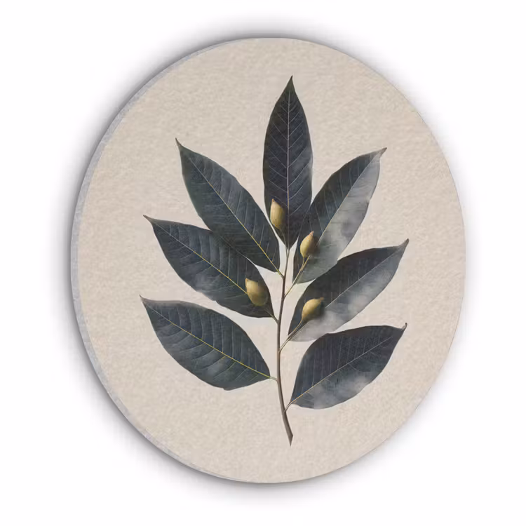Laurierbladeren - Bloemknoppen - subtiel Akoestische PET Vilt - Rond klein -3d