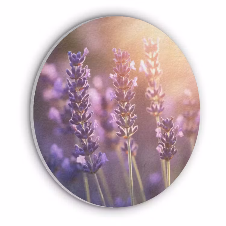 Lavendelbloemen - Paars - Zonlicht Akoestische PET Vilt - Rond klein -3d