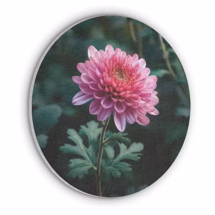 Blad - Chrysant - Roze - Schaduw Akoestische PET Vilt - Rond klein -3d