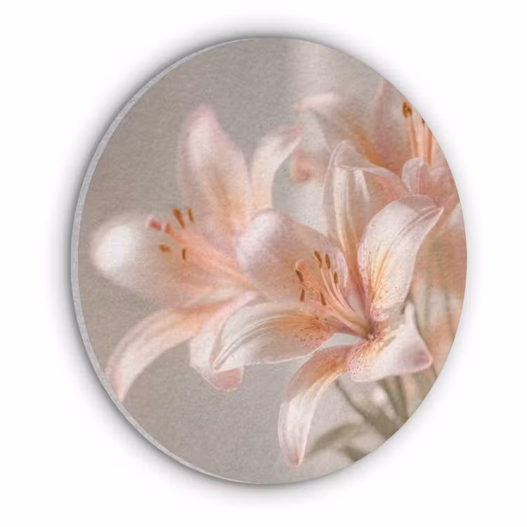 Lelies - Meeldraden - Roze - Wazig Akoestische PET Vilt - Rond klein -3d