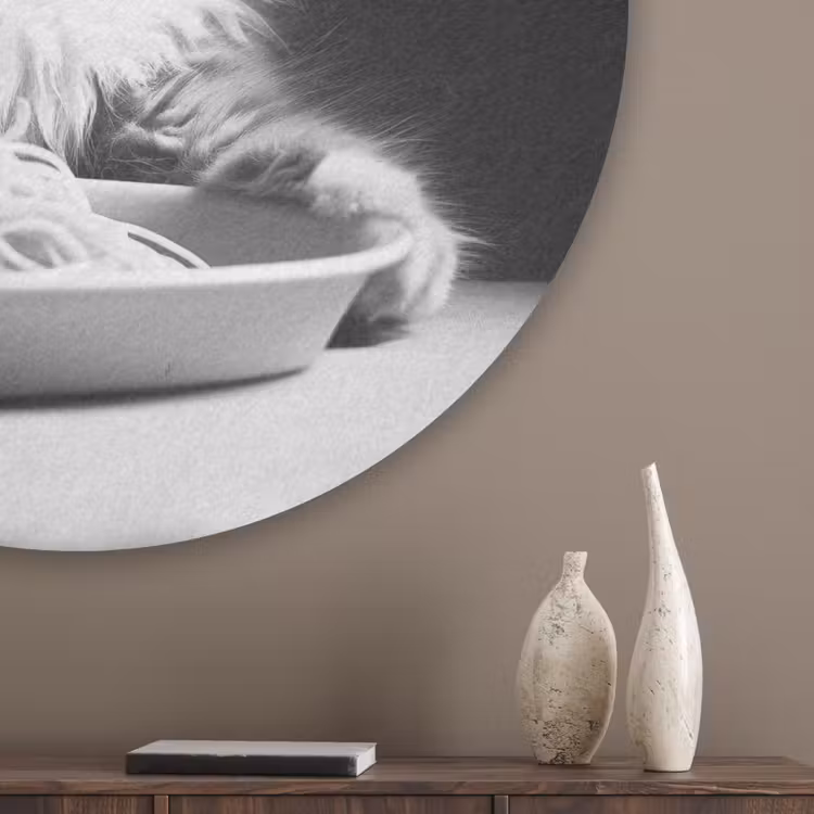 Langharige kat - Zonnebril - Spaghetti - Humor - Zwart - wit Akoestische PET Vilt - Rond klein -sfeer5_closeup