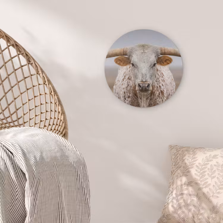 Longhorn - Grasveld - Dier Akoestische PET Vilt - Rond klein -sfeer4