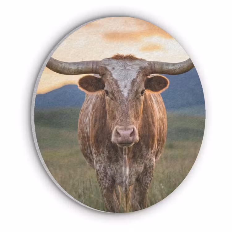 Longhorn - Landschap - Zonsondergang Akoestische PET Vilt - Rond klein -3d