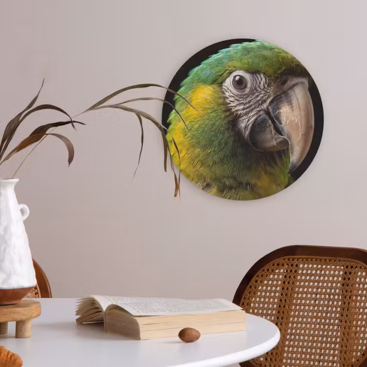 Ara - Portret - Groen Akoestische PET Vilt - Rond klein -sfeer3