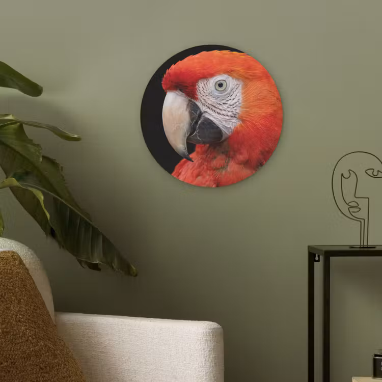 Ara - Portret - Rood Akoestische PET Vilt - Rond klein -sfeer2