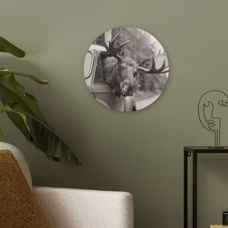 Eland - Auto - Gewei - Zwart - Wit Akoestische PET Vilt - Rond klein -sfeer2