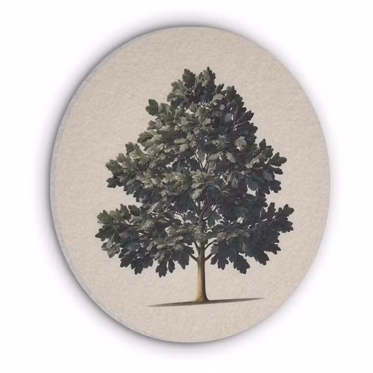 Eikenboom - Schaduw - Egaal Akoestische PET Vilt - Rond klein -3d