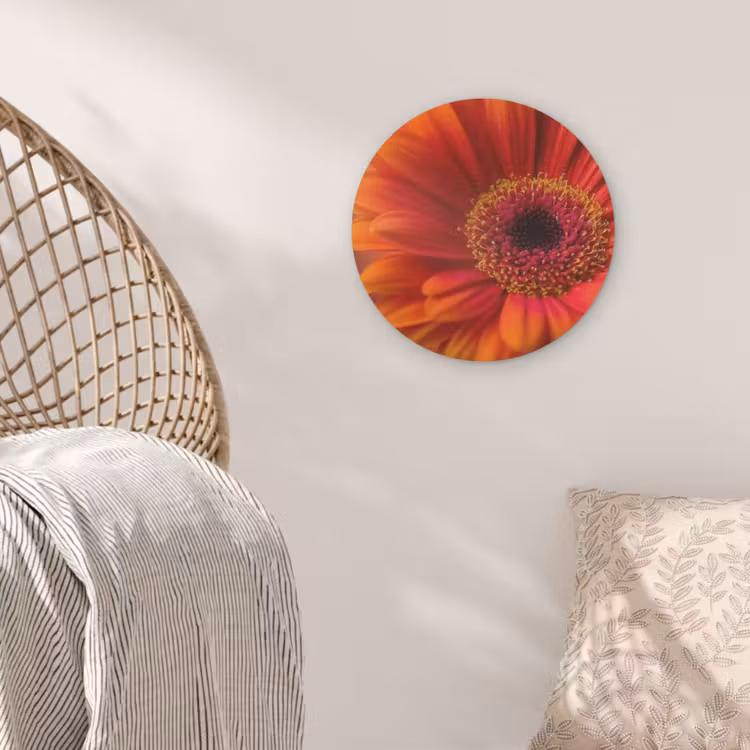 Oranje - Gerbera - Intens Akoestische PET Vilt - Rond klein -sfeer4