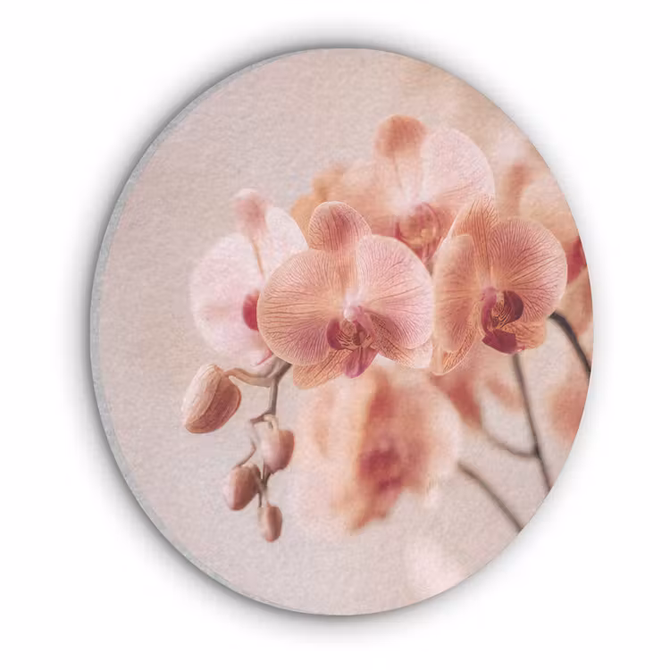 Orchidee - Bloemen - Roze - Bloemblaadjes Akoestische PET Vilt - Rond klein -3d