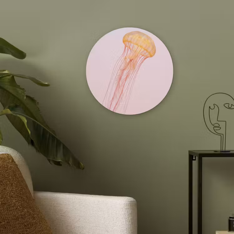 Sierlijk - Kwal - Roze Akoestische PET Vilt - Rond klein -sfeer2
