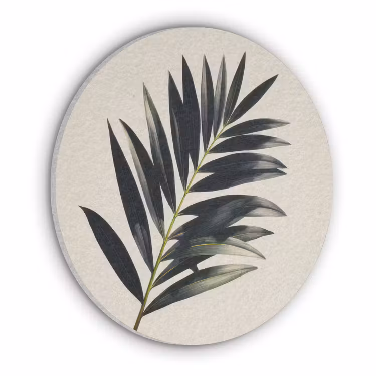 Palmblad - Subtiel - Groen - beige Akoestische PET Vilt - Rond klein -3d