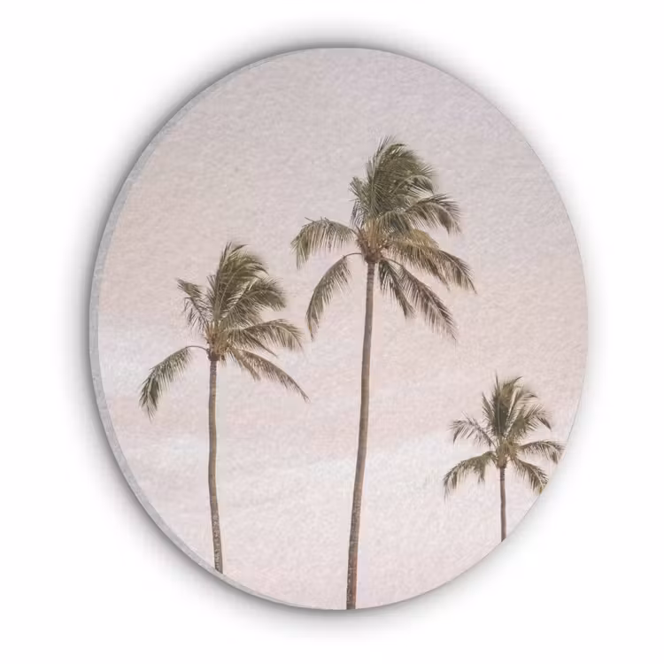 Palmbomen - Zonsondergang - Roze Akoestische PET Vilt - Rond klein -3d