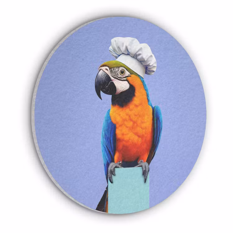 Papegaai - Koksmuts - Vogel - Leuk Akoestische PET Vilt - Rond klein -3d