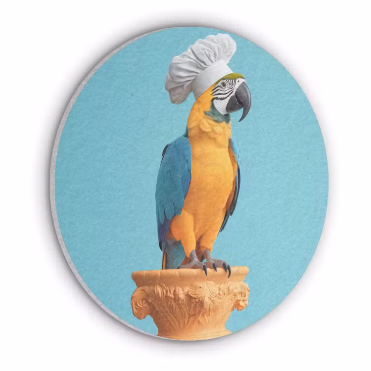 Papegaai - Koksmuts - Grappig - Vogel Akoestische PET Vilt - Rond klein -3d