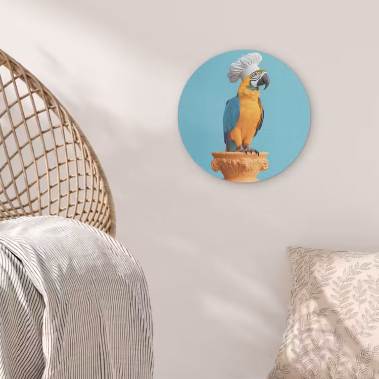 Papegaai - Koksmuts - Grappig - Vogel Akoestische PET Vilt - Rond klein -sfeer4
