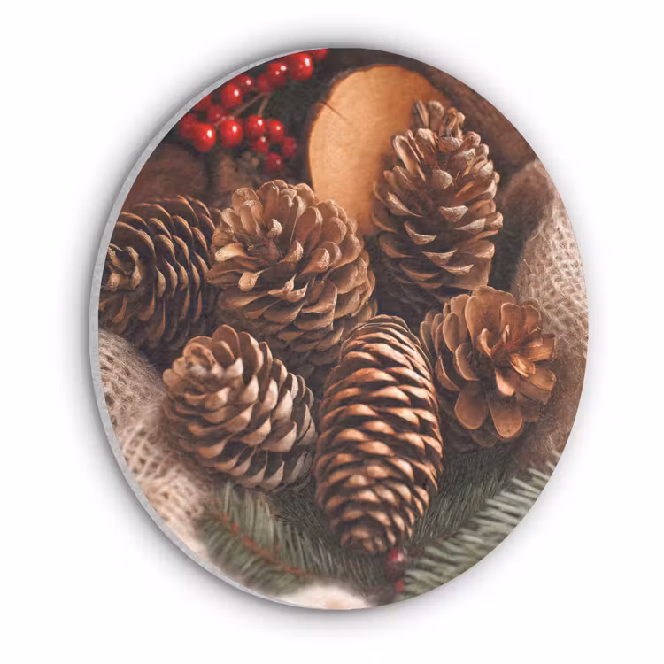 Dennenappels - Boom - Winter - Natuur - Bruin Akoestische PET Vilt - Rond klein -3d